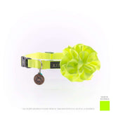 COLLAR MINI BÁSICO FLOR / AMARILLO NEÓN